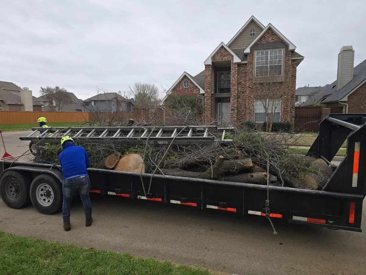 Expert Lot Clearing with proper safety equipment in Bertrand